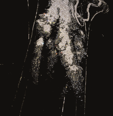 not-just-urticant-longhi-482991-relca96771d.jpg