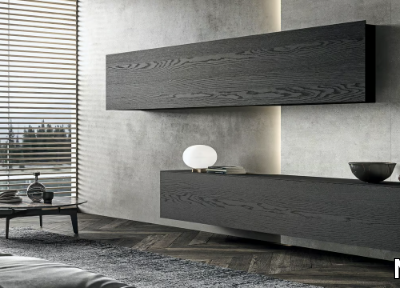 blade-wood-veneer-storage-wall-modulnova-544873-relf58374ff.jpg
