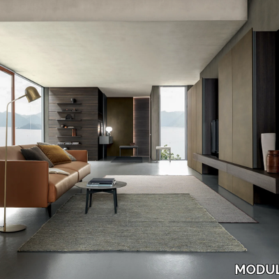 mh6-tv-wall-system-modulnova-545050-reld1c76c73.jpg