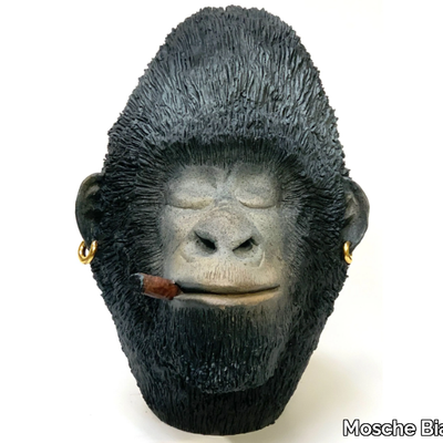 Mosche-Bianche_CIGAR-CHIMPANZEE_M8XczhVi8a.jpeg