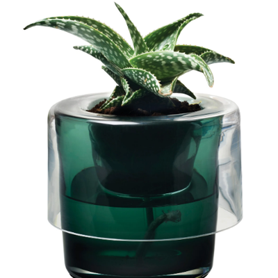 ROOTS-Vase-Nude-Glass-359511-relbf9865b5.jpg