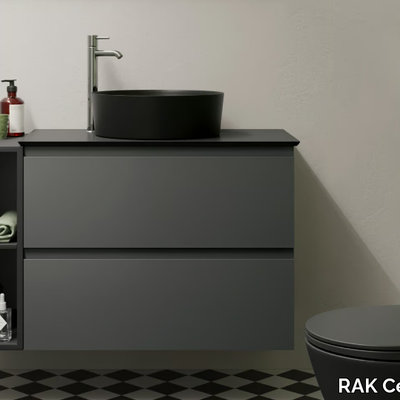 RAK-JOY-RAK-Ceramics-414739-relebe091a7.jpg