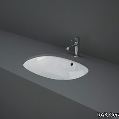 rak-variant-single-washbasin-rak-ceramics-475342-rel359ec9be.jpg