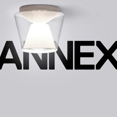 annexceiling0009jpg
