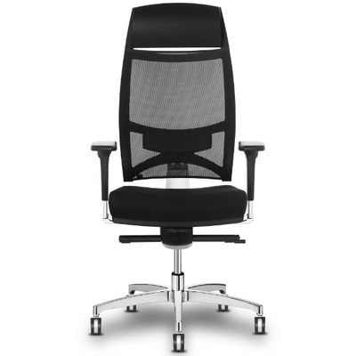 TEAM-STRIKE-Executive-chair-Sitland-619979-rel7bca42f9.jpg