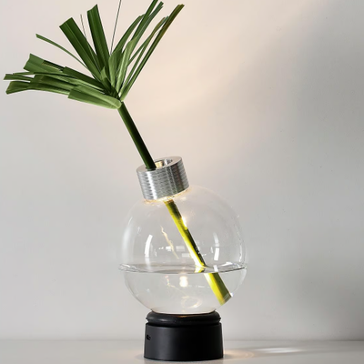 BULBOVASO-Vesoi-632539-rel98a7aea2.jpg