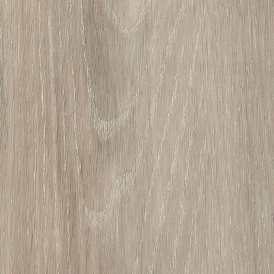 Ashdown Oak