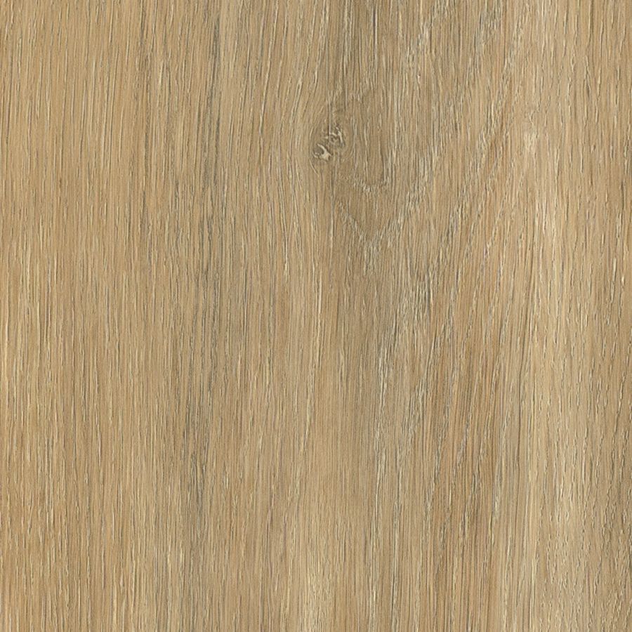 Darley Oak