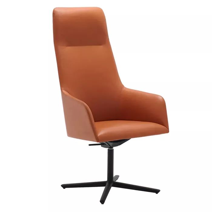 Alya Executive SO1491