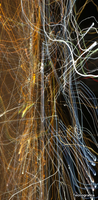 orion-tecnografica-536656-rel710db116.jpg thumb image