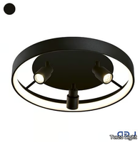 DENIS-Ceiling-lamp-Terzo-Light-616666-rel1db8d972.jpg thumb image