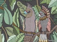 COCKATOO-Texturae-292211-relbb4df137.jpg thumb image
