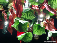 FLOWER-POWER-ANTHURIUM-SQUARE-VGnewtrend-459620-rele60b87dc.jpg thumb image