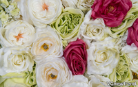 ROSE-FLOWER-WALL-VGnewtrend-420749-rele5499ad6.jpg thumb image