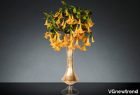 chiara-vase-with-datura-vgnewtrend-584958-rel4c2d3988.jpg thumb image