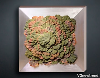 begonia-vgnewtrend-279281-rel219cb2e.jpg thumb image