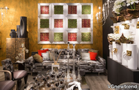 begonia-vgnewtrend-279281-relc4dc40ce.jpg thumb image