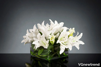 eternity-square-lilium-vgnewtrend-585426-relf75d088b.jpg thumb image