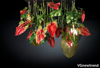 flower-power-anthurium-red-vgnewtrend-552729-rela27378e4.jpg thumb image