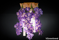 flower-power-vanda-square-vgnewtrend-552987-rel196ac34a.jpg thumb image