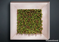 sedum-vgnewtrend-279282-relbe5c5286.jpg thumb image