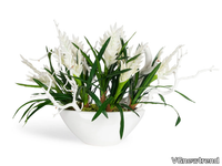 ship-bromelia-vgnewtrend-585129-rel919443b2.jpg thumb image