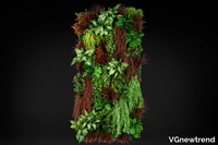 rata-vgnewtrend-584883-relfb6e0e6e.jpg thumb image