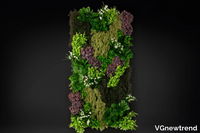 yellowstone-vgnewtrend-584795-rel14ddc77b.jpg thumb image