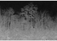 BLAIRWITCH-VIDAME-CREATION-255962-rel9f7611ab.jpg thumb image