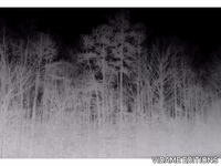 BLAIRWITCH-VIDAME-CREATION-255962-relddd5b8c.jpg thumb image