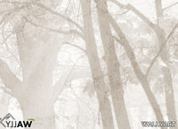 WALLYART_MADRESELVA_DRP7Qf3uvg.jpeg thumb image