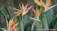 WallPepperGroup_REGINAE_aoRpctzW2I.jpeg thumb image