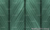 WallPepperGroup_VENATURE_b8cgntQuGI.jpeg thumb image