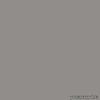 ral-9007-aerosol-spray-paint-500x500.jpg thumb image