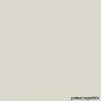 ral-9002-aerosol-spray-paint-grey-white-500x500.jpg thumb image