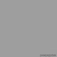ral-9022-aerosol-spray-paint-pearl-light-grey-500x500.jpg thumb image