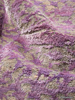 7a76d45c-a5e6-6336-a573-f6841bc526f8.jpeg thumb image