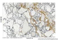 Arabescato_Antico_polished_2cm_9218___Slab_59_164187.jpg thumb image