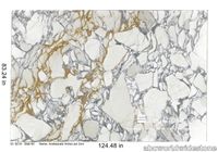 Arabescato_Antico_polished_2cm_9218___Slab_60_164189.jpg thumb image