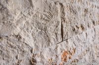 Barnes-Original-Limestone-Split-dry4.jpg thumb image