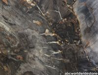 Black-Petrified-Wood-Polished-scaled.jpg thumb image