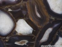 Black-Wild-agate-closeup.jpg thumb image