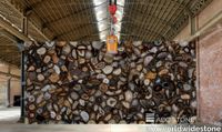 Brown-Agate-Polished-5516.jpg thumb image