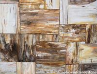 Brown-Petrified-Wood-Retro-closeup.jpg thumb image