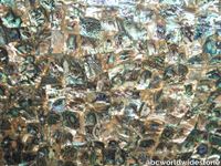 Green-Abalone-semi-precious.jpg thumb image