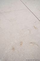 Grolla-Beige-Sandblasted-Brushed-Dry-3.jpg thumb image