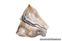 Jasper-Shellflint-1-600x400.jpg thumb image