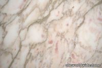Lampsi-Rose-close-upx-1-8448-600x400.jpg thumb image