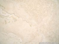 Navona-Travertine-Crosscut-close-up-x-1-7560.jpg thumb image