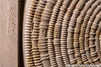 borrowedearth-Weave.jpg thumb image